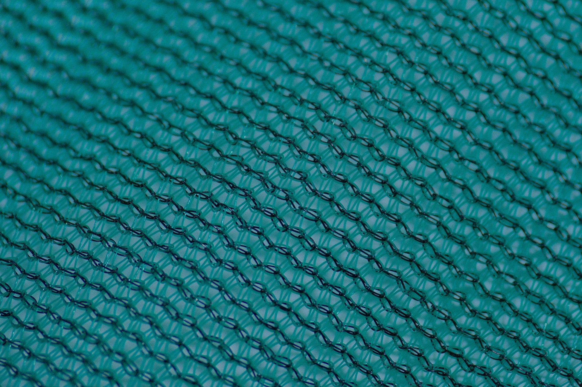 Shade Netting close-up DSCF5921.JPG