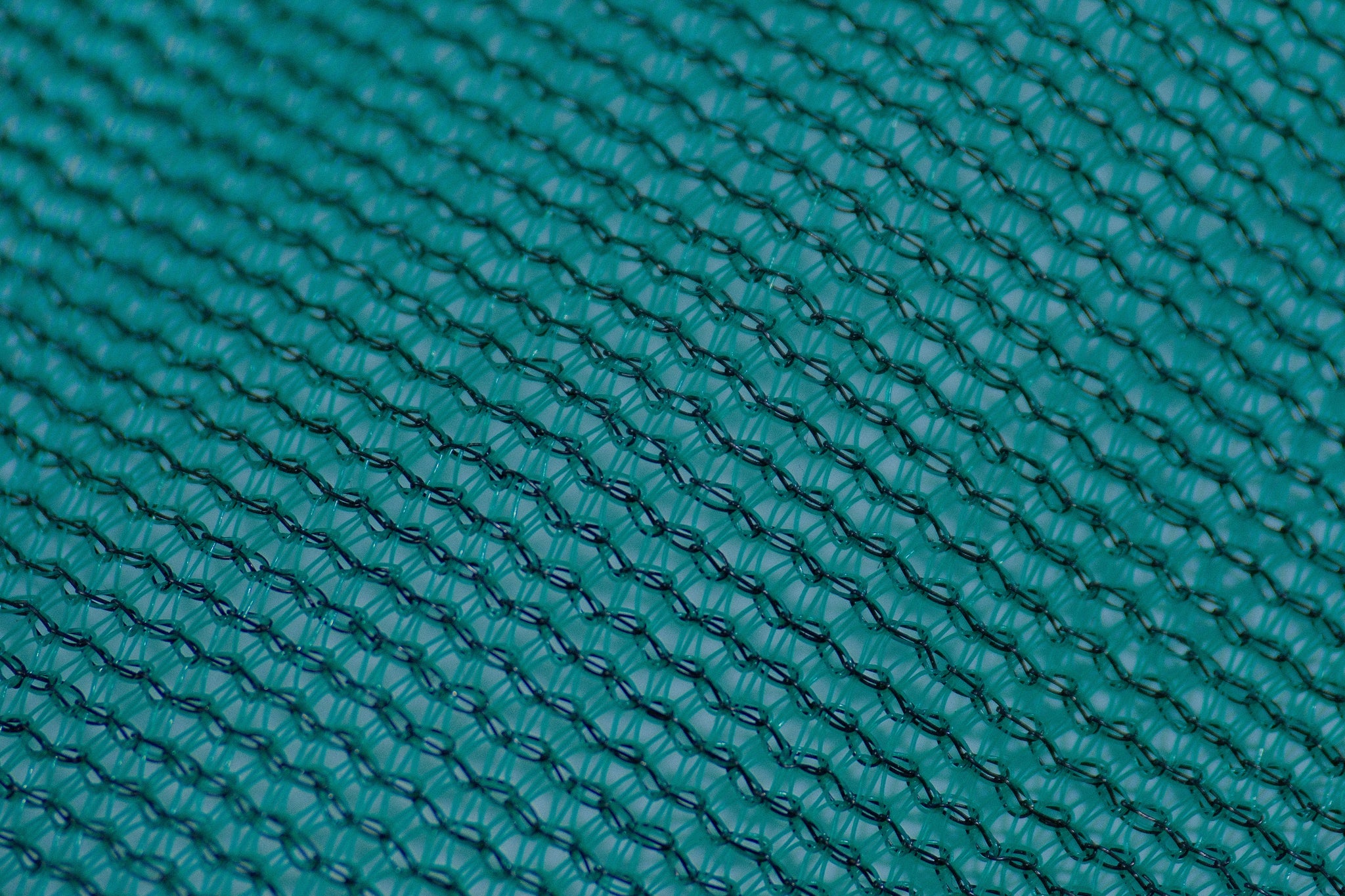Shade Netting close-up DSCF5921.JPG