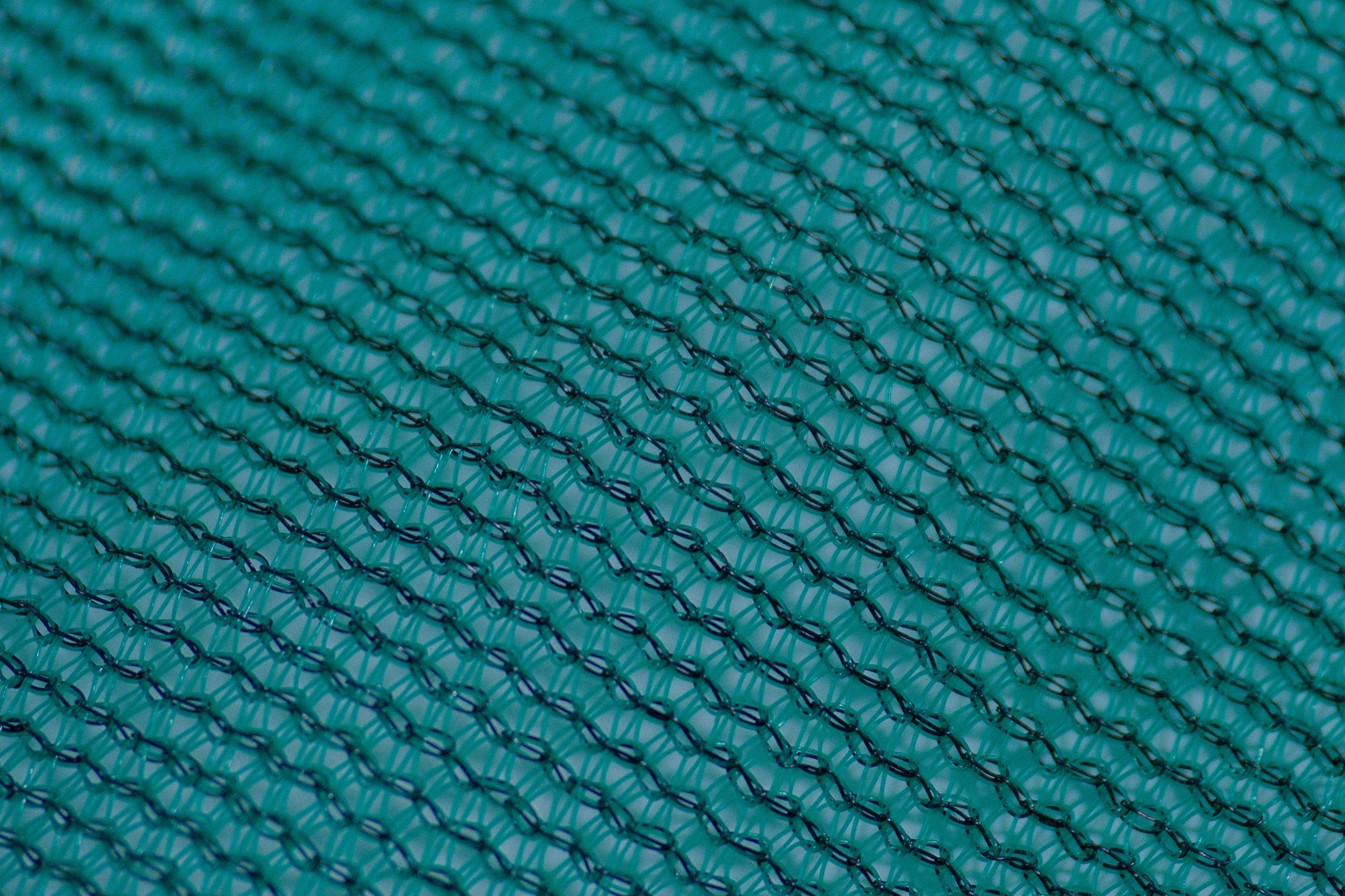 Shade Netting close-up DSCF5921.JPG