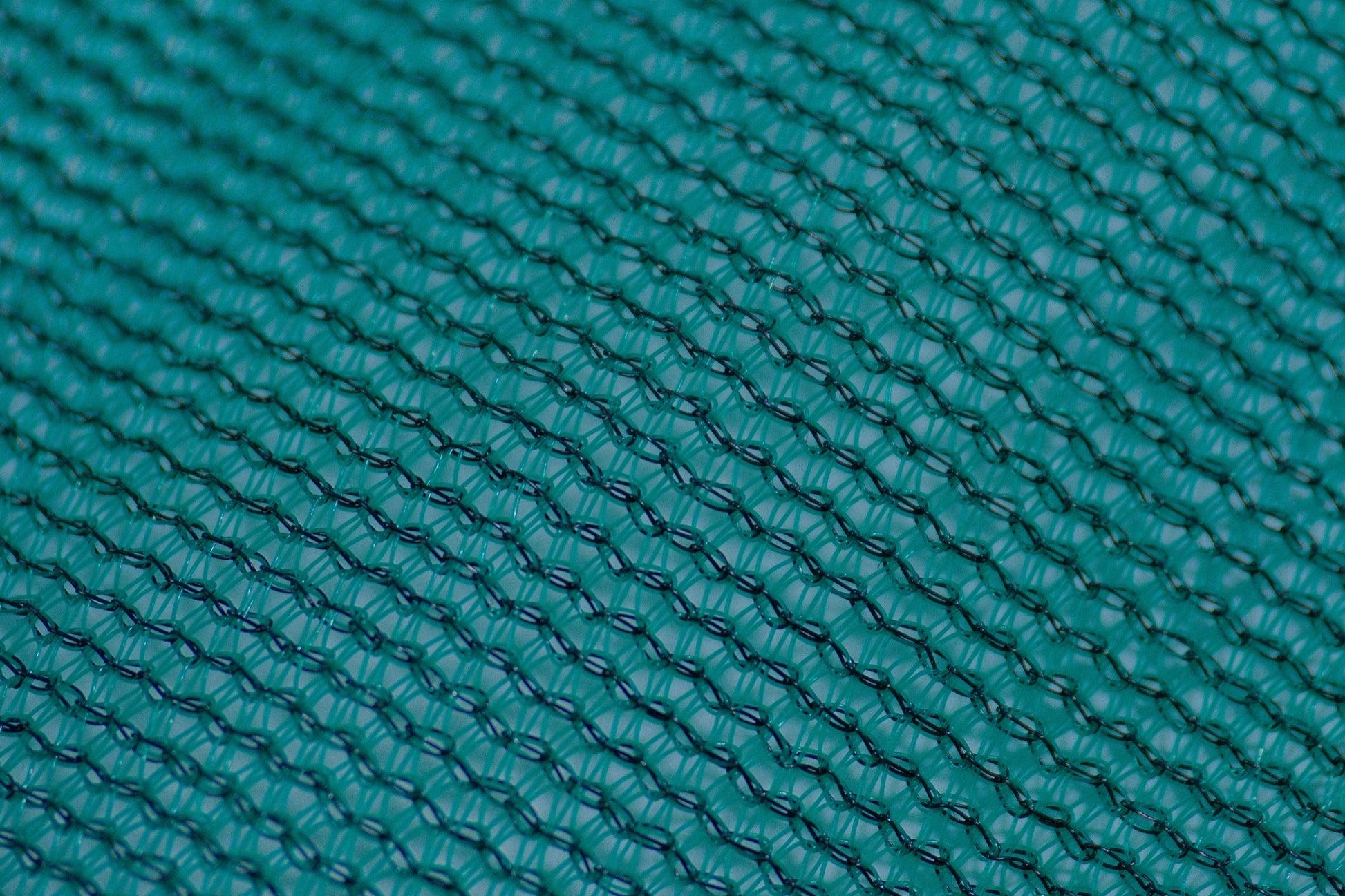 Shade Netting close-up DSCF5921.JPG