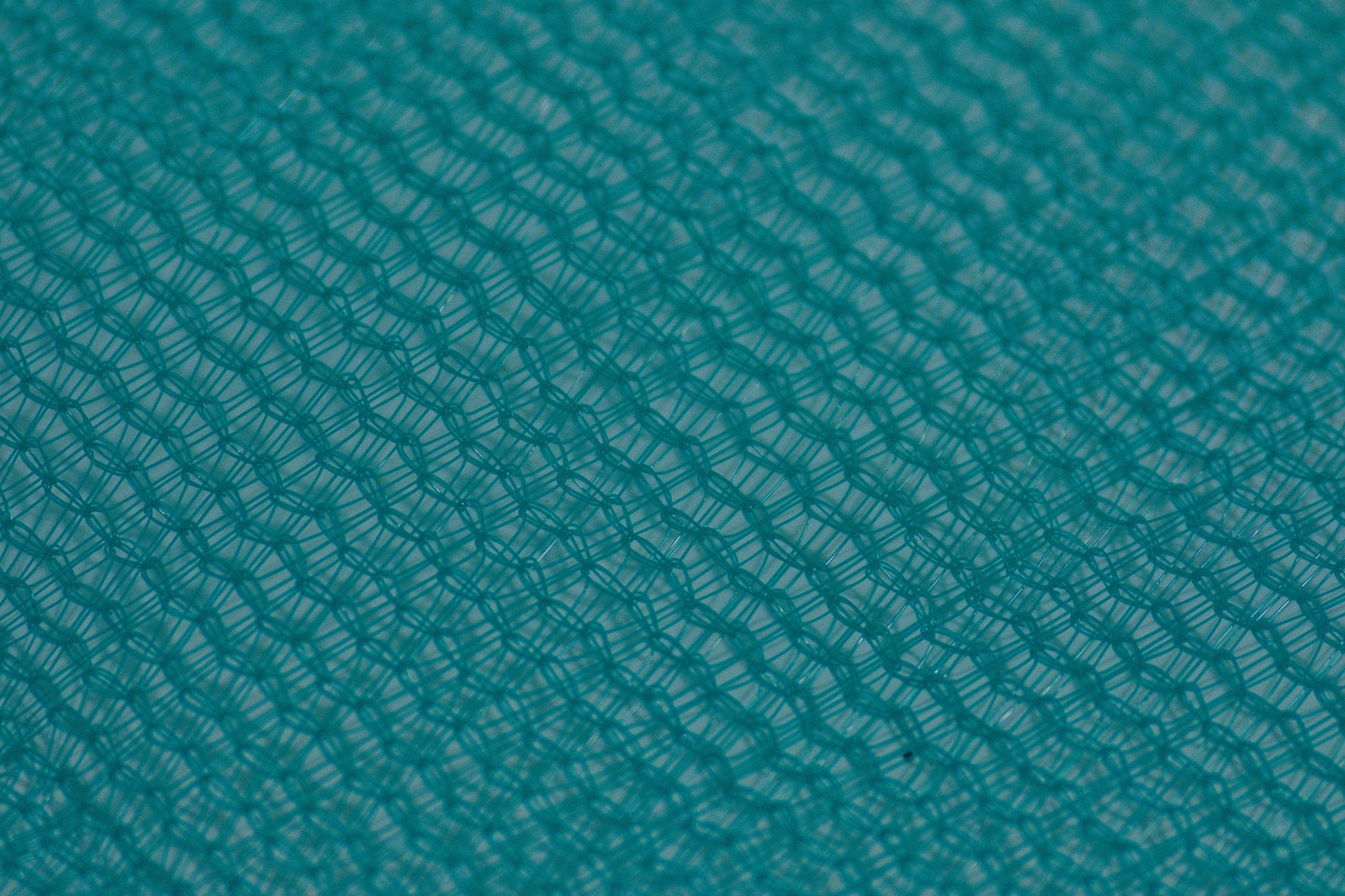 Shade Netting close-up DSCF5922.JPG