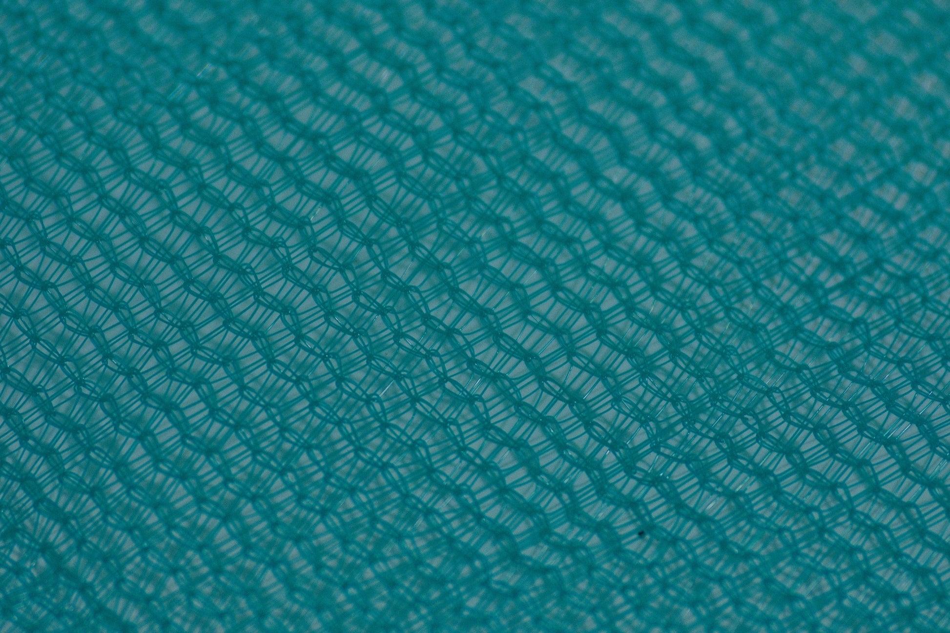 Shade Netting close-up DSCF5922.JPG