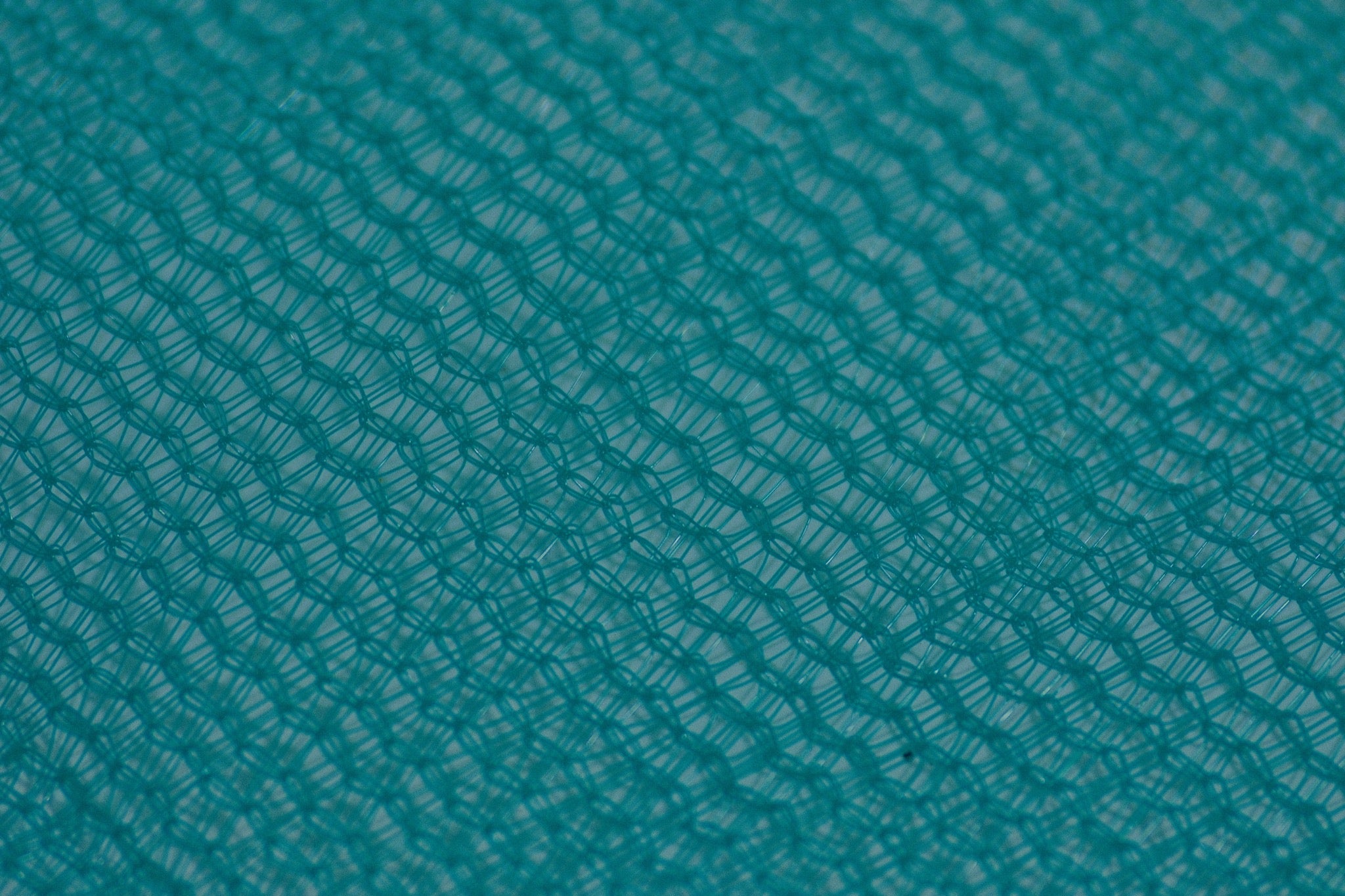 Shade Netting close-up DSCF5922.JPG