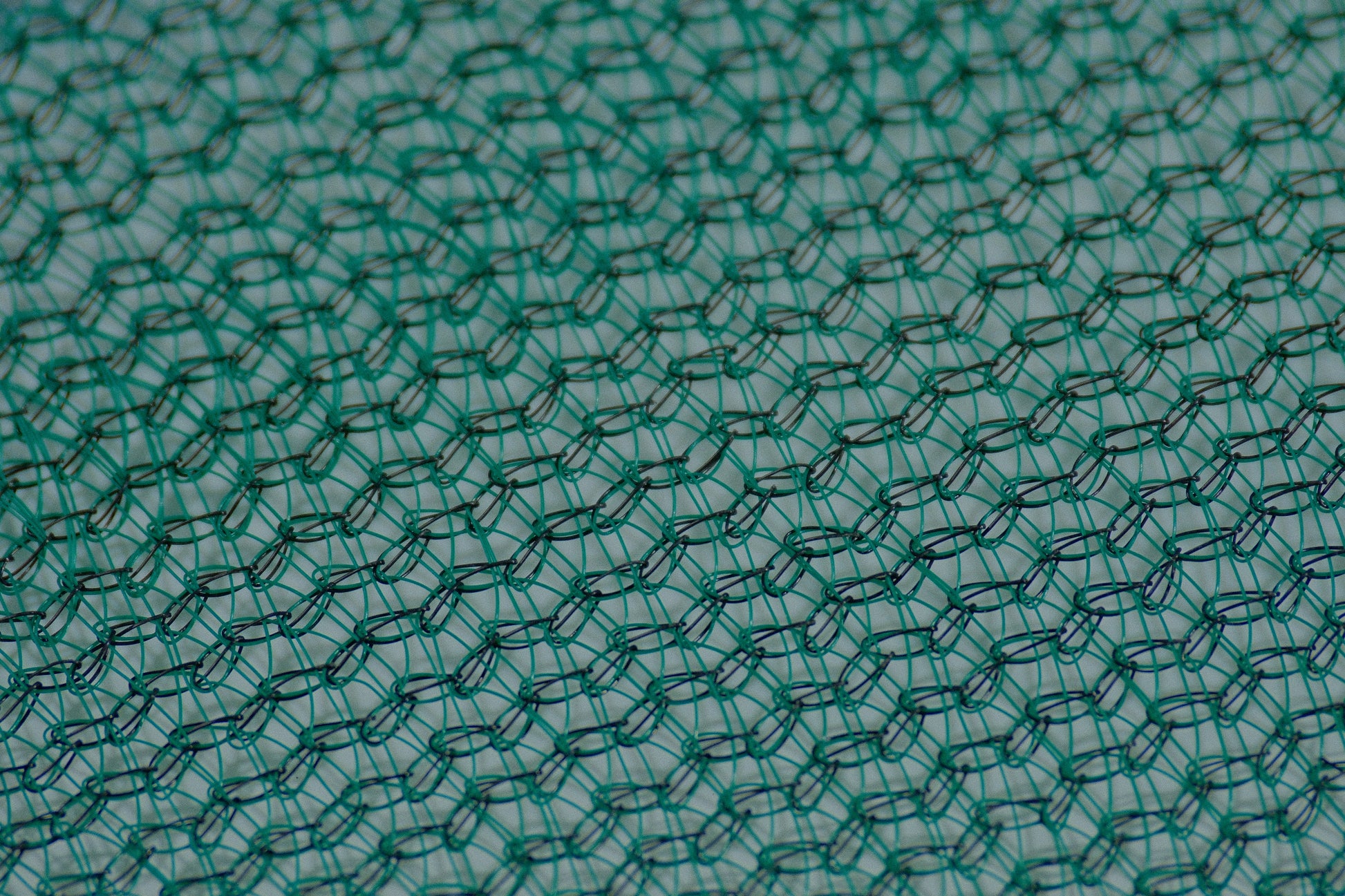 Shade Netting close-up DSCF5923.JPG