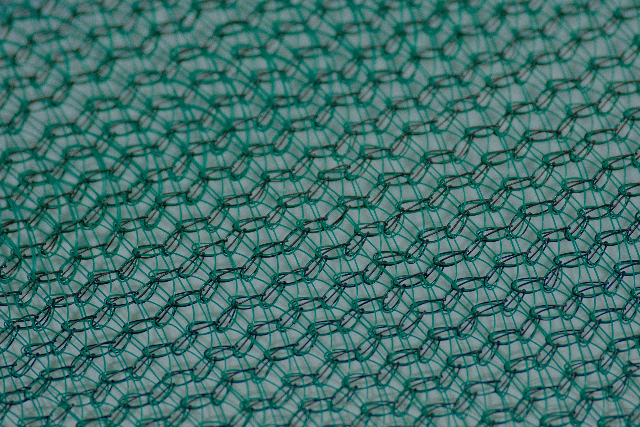 Shade Netting close-up DSCF5923.JPG